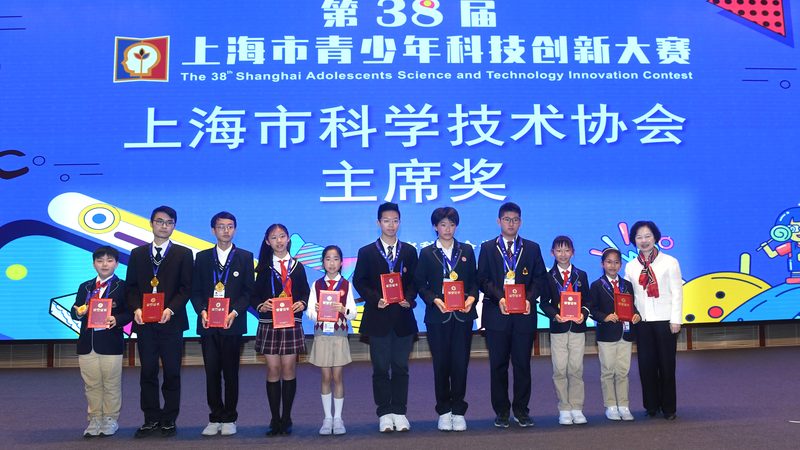 揭秘SAAS售后代理加盟：条件解析与行业洞察
