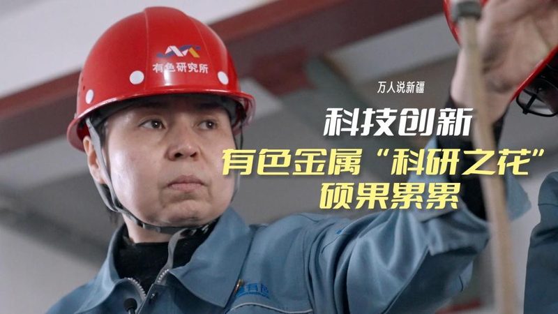 数据中台与数据仓库：本质区别与适用场景解析